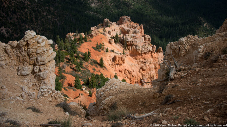 High overlook into an orange hoodoo amphitheater bordered by pale rock and evergreen forest.