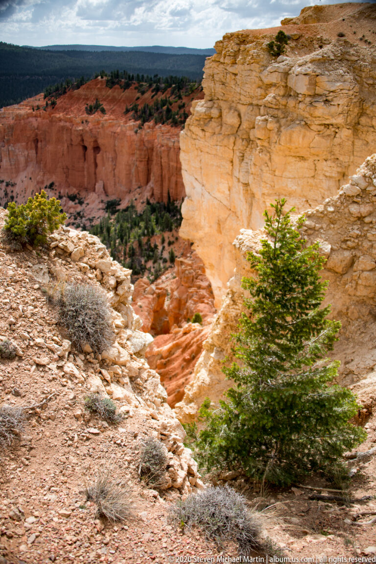 Pale broken cliff edge with a green shrub above an orange canyon and distant plateau.