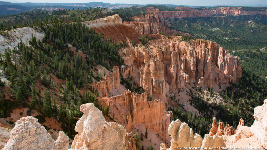 Wide canyon view of dense orange hoodoos framed by pale rock spires and forest.