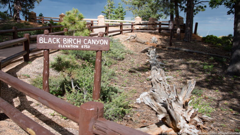 Black Birch Canyon sign with elevation 8,750 feet beside a fenced trail overlook.