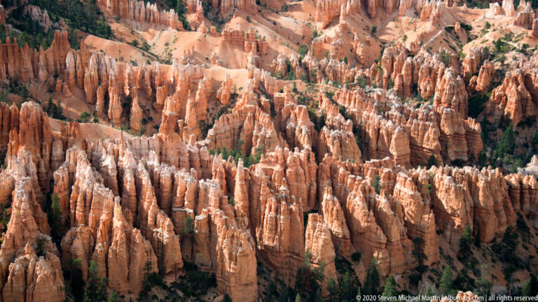 Dense orange and cream hoodoos separated by dark gullies and small green patches.