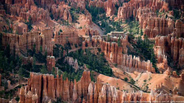 Steep canyon view across orange hoodoos, pale ledges, and dark evergreen pockets.
