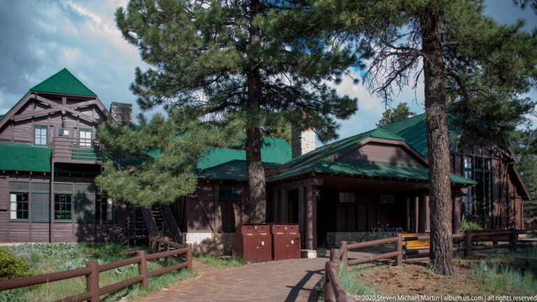 Timber park building with green roofs, wide windows, and a walkway beneath pine trees.