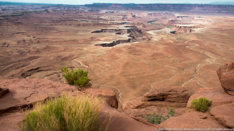 A green shrub on a rocky rim overlooks distant canyons and mesas.