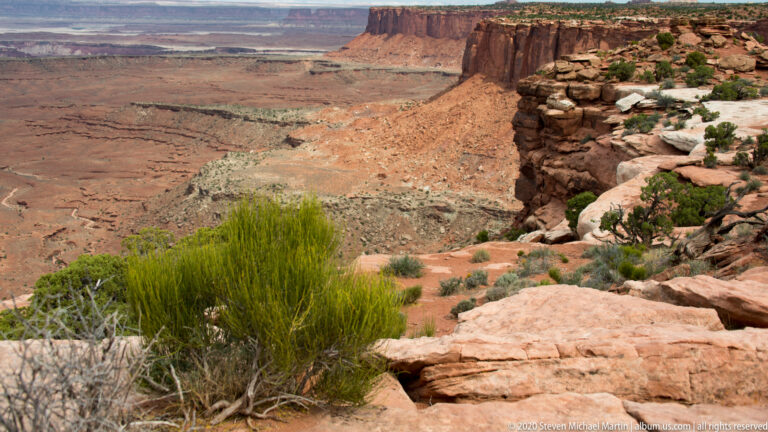 A green shrub and pale rim rock overlook a curving red escarpment and distant canyon basin.