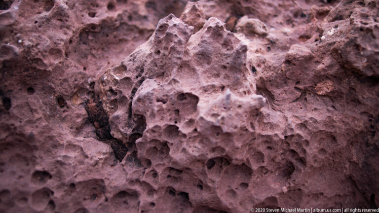 Rounded cavities and small pits cover a pale sandstone face around a broad central recess.