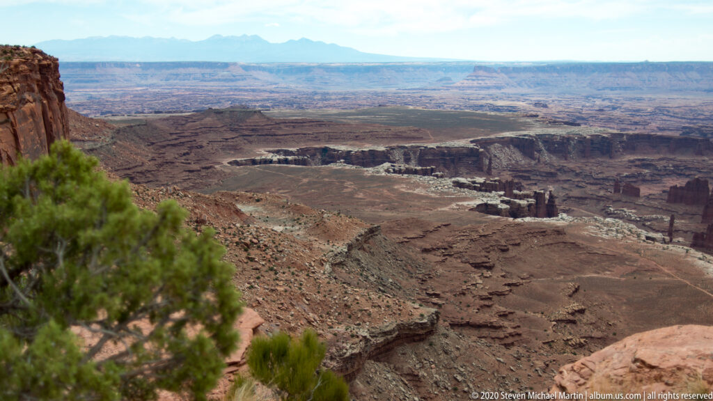 Juniper and shrubs frame a wide view of dark canyon walls, pale mesas, and distant plateaus.