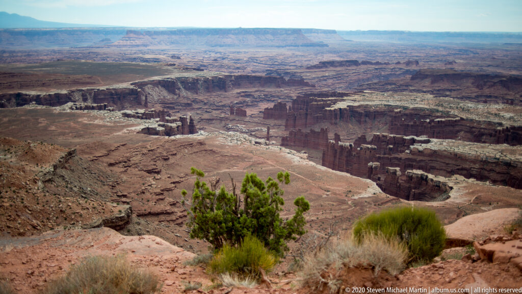 A rim overlook shows branching red canyons, dark cliffs, distant mesas, and shrubs in the foreground.