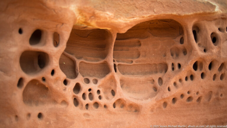 Large rounded cavities and smaller pits form a sculpted pattern across an orange sandstone wall.