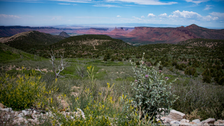 A thistle and green scrub fill the foreground, with distant red mesas across the valley.