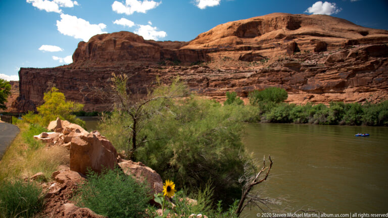 A yellow flower and green shrubs frame a river, small boat, and layered red sandstone escarpment.