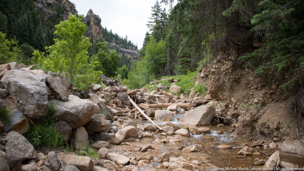 A shallow stream runs among boulders and fallen logs beneath dense trees in a narrow canyon.