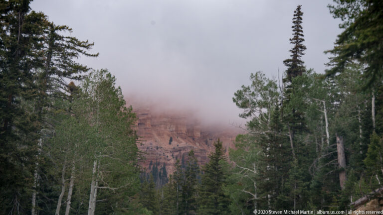 Evergreen trees frame an overlook where fog hides most of the canyon and faint orange cliffs.
