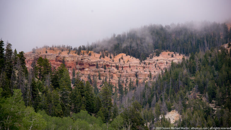 Mist crosses orange cliffs above a densely wooded slope of conifers and leafy trees.