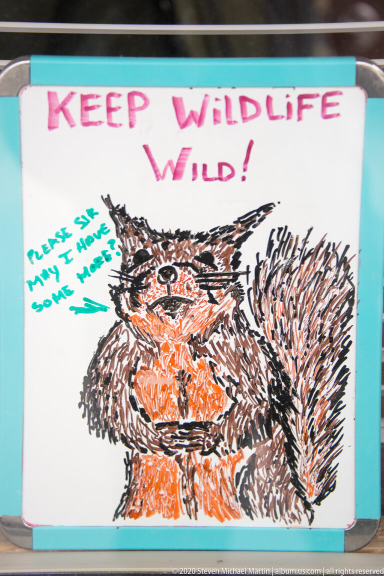 A hand-drawn animal and the words “Keep Wildlife Wild” fill a turquoise-bordered park sign.