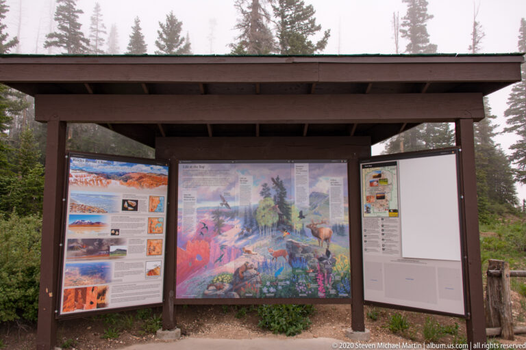 Three interpretive panels stand beneath a timber shelter, with conifers behind them.