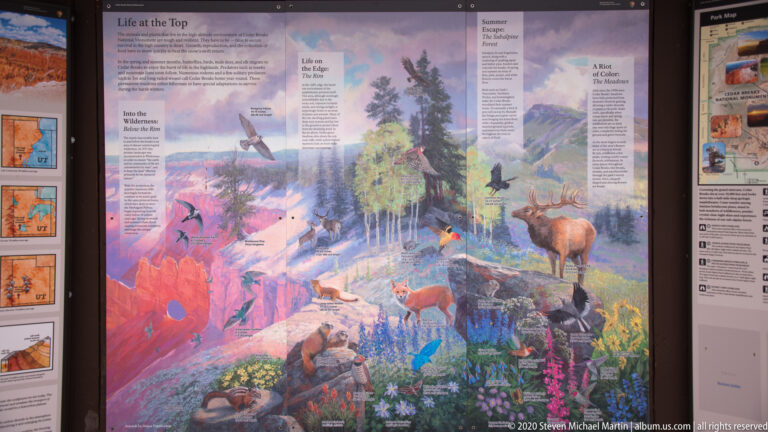 A colorful interpretive mural shows cliffs, forest, wildflowers, and several animals, including an elk.