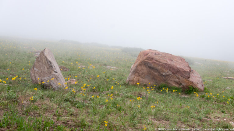 Two reddish boulders sit in a yellow-flowered meadow as fog hides the distant slope.