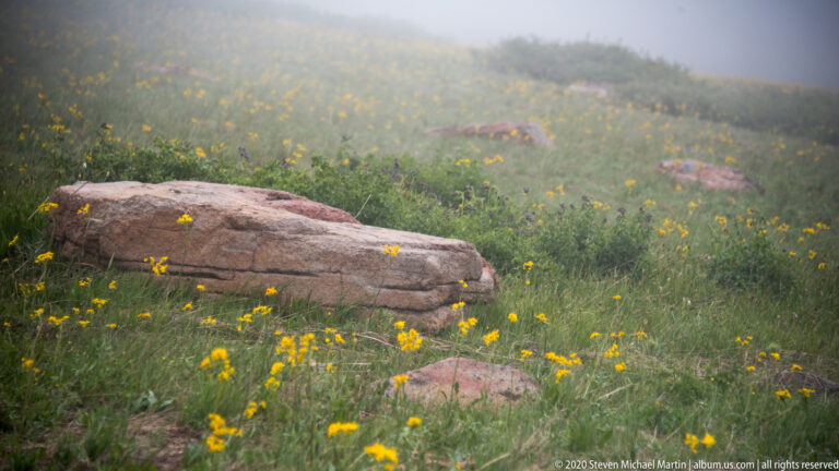 A long layered boulder lies among yellow flowers and grass in a misty meadow.