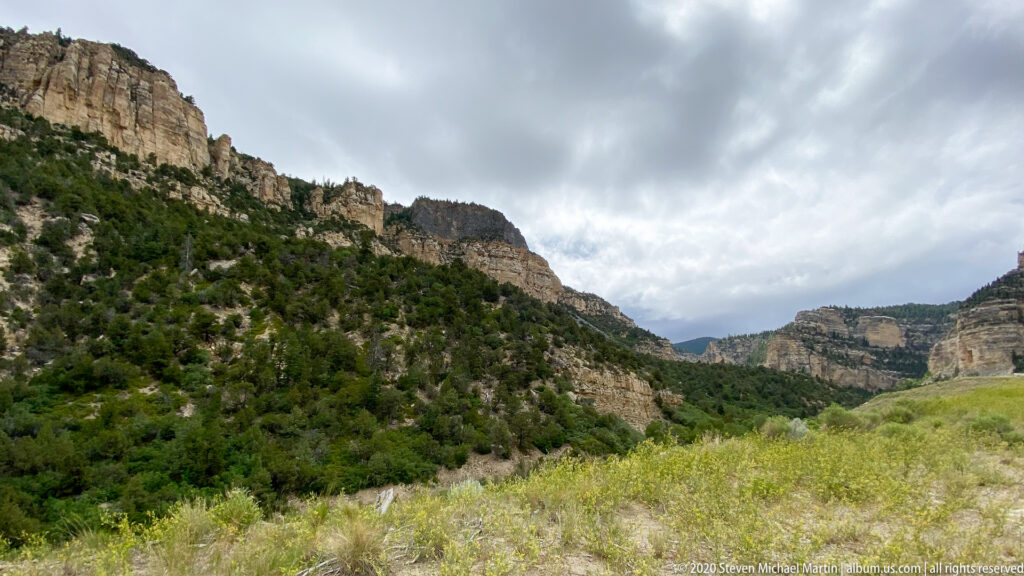 Green brush and conifers rise toward pale, layered canyon cliffs beneath a cloudy sky.