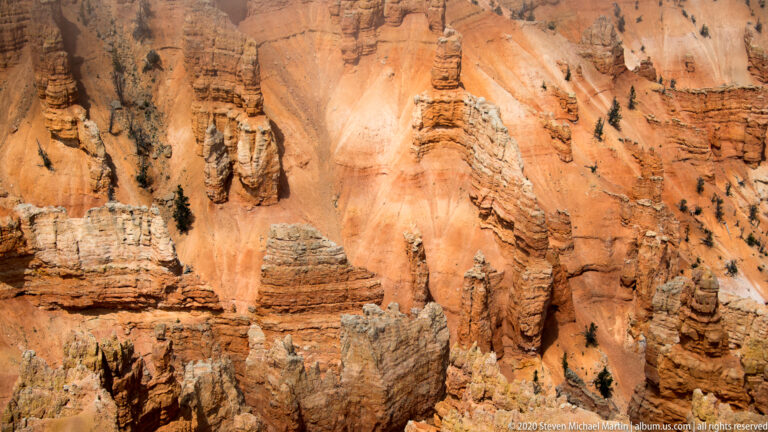 Banded orange and cream hoodoos rise in dense rows among dark conifers.