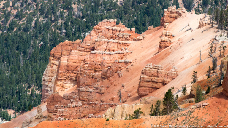 A pale sloping rock fin borders orange hoodoos and a dark evergreen forest.