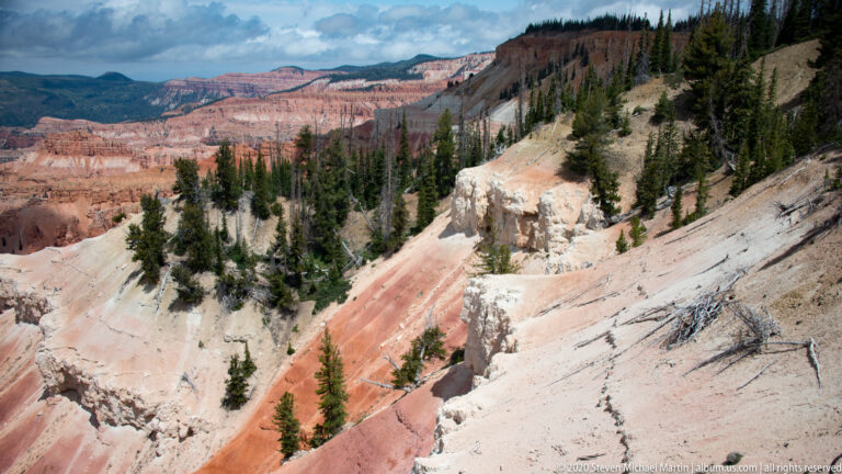 A pale rock fin crosses a pink slope beneath conifers, with bare trunks on the incline.