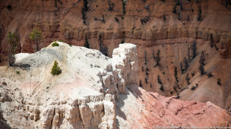 A small shrub grows on a pale rock crest above orange hoodoos and dark canyon walls.