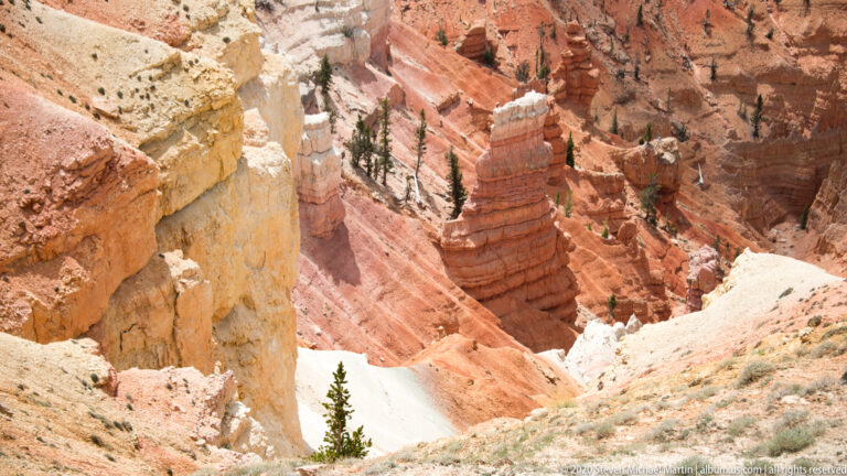 Pale-capped orange columns stand close together, separated by narrow gullies on the steep canyon slope.
