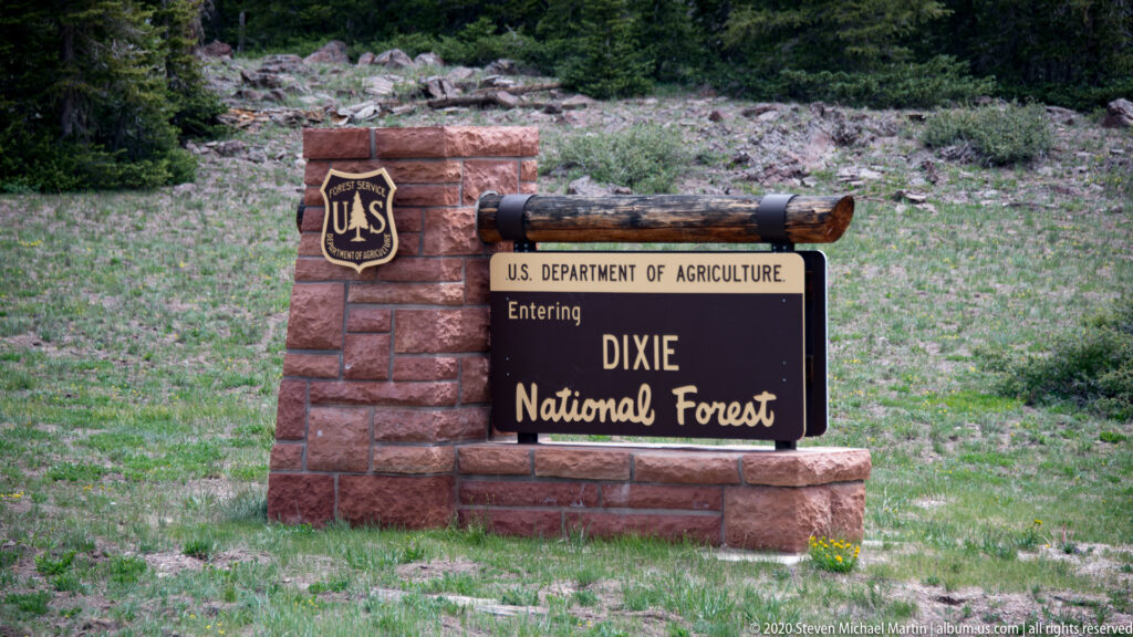 A brown sign reading Entering Dixie National Forest stands on a masonry base in a grassy clearing.