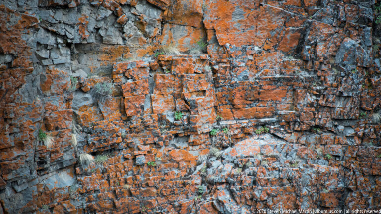 Orange lichen patches cover cracked gray rock divided into angular blocks and pale seams.