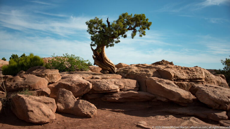 A twisted juniper grows among angular sandstone blocks beside a low stone border.
