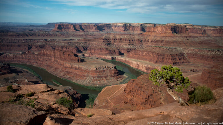 A juniper and shrubs frame the Colorado River curving around a steep red-rock promontory.