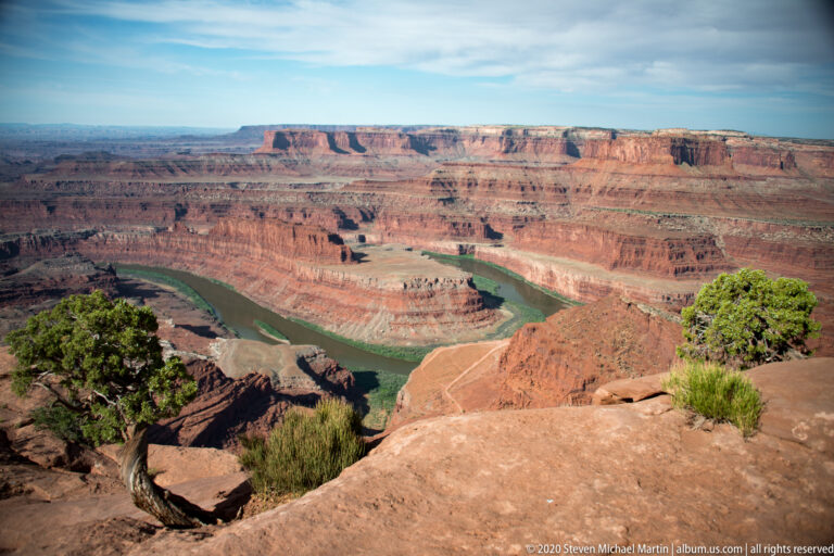 A curved juniper frames a broad Colorado River bend beneath red cliffs and distant mesas.