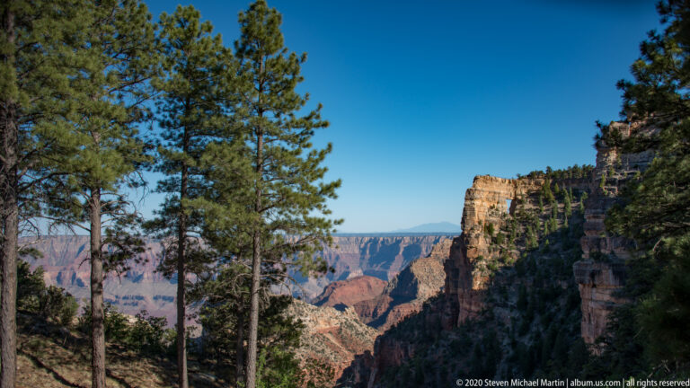 Pine trunks frame a sunlit canyon cliff and distant red walls beyond a shaded woodland foreground.