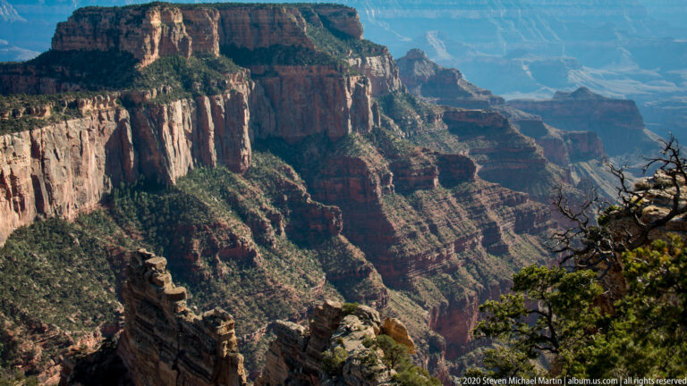 Pale stratified cliffs overlook a deep, forested ravine and red canyon slopes.
