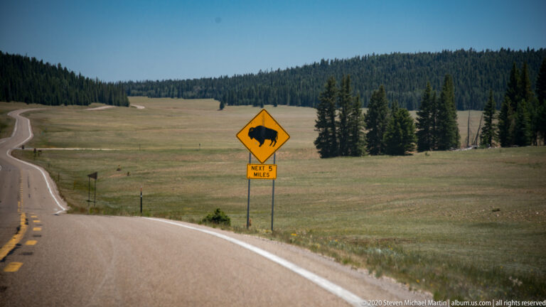 A bison warning sign beside a paved road marks a five-mile wildlife crossing zone through a meadow.