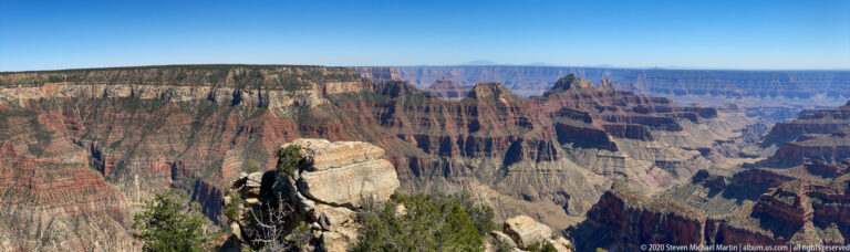 Evergreen trees and a pale boulder frame a deep canyon of red and cream-colored cliffs.