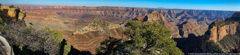 Evergreen trees frame a broad view across red canyon cliffs, ravines, and distant plateaus.