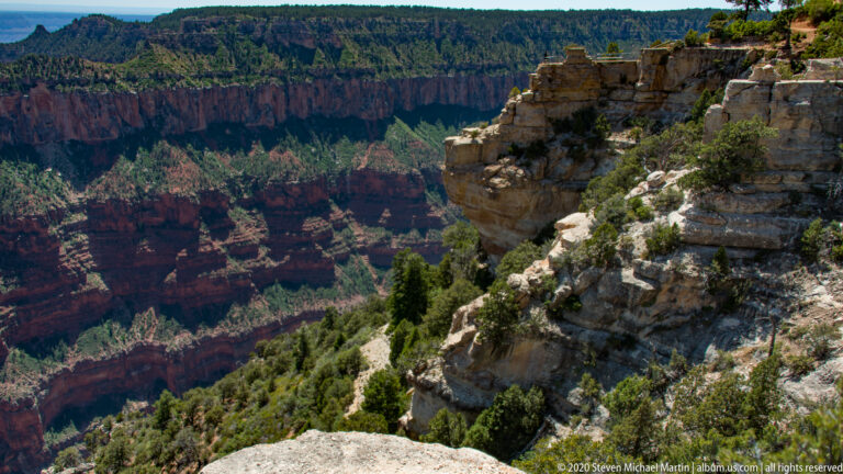 A pale rock ledge and pines frame a deep canyon with red cliffs and distant mesas.