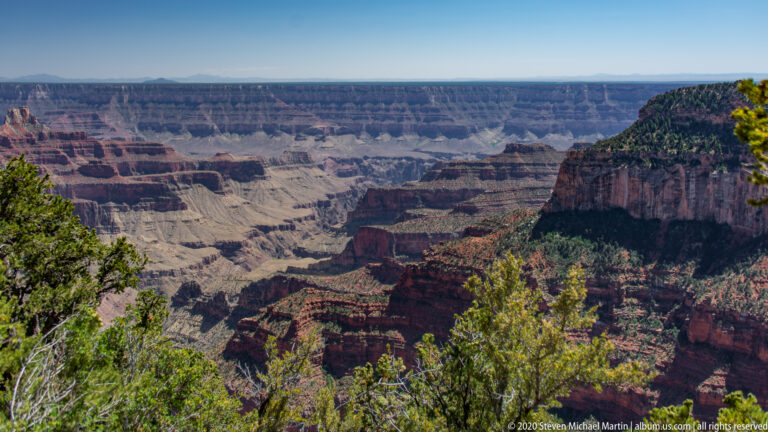 Evergreen trees and shrubs frame a broad view across layered cliffs and distant canyon plateaus.