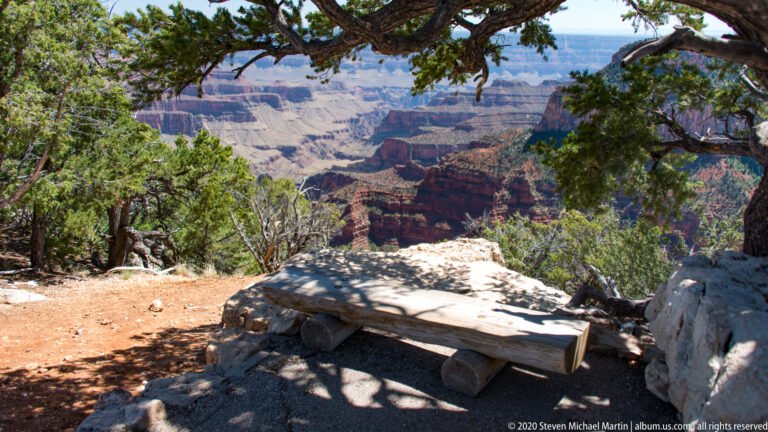 A wooden bench beneath a pine faces the canyon from a shaded rocky overlook.