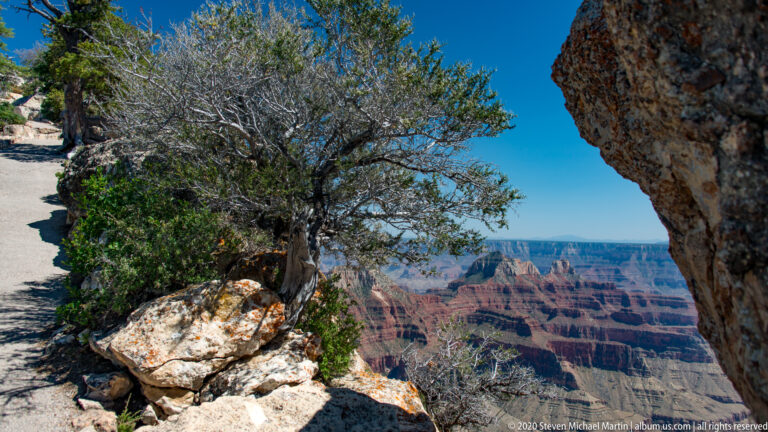 A rock overhang and small evergreen frame a canyon view beside a paved rim path.