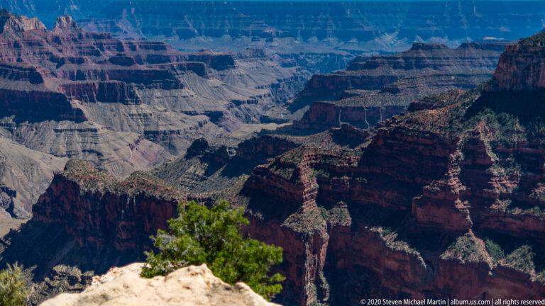 A pale rocky rim and small evergreen overlook sunlit plateaus and a shadowed canyon gorge.