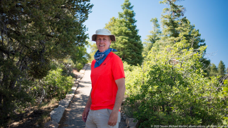 A visitor stands on a curving paved trail beneath pines, with shrubs and stone edging along the path.