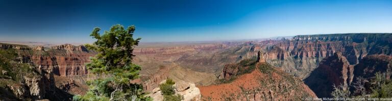 A lone pine in the rocky foreground overlooks layered canyon walls and ravines.