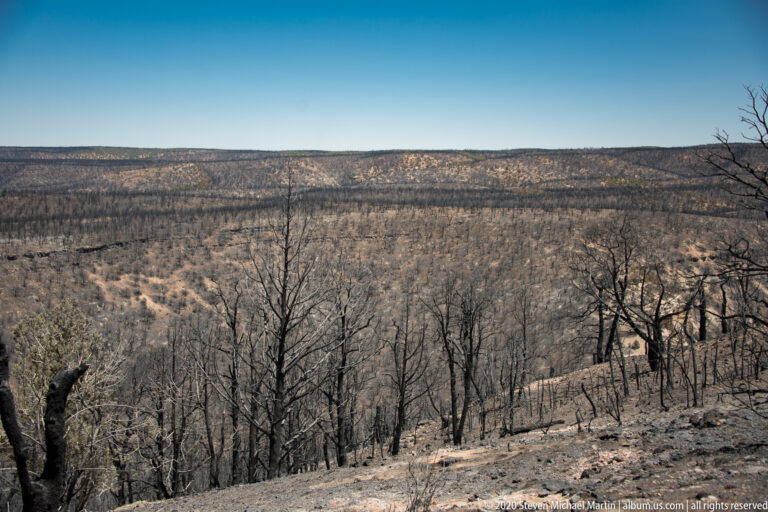 A broad slope of blackened trees descends toward a distant ridge beneath a clear sky.