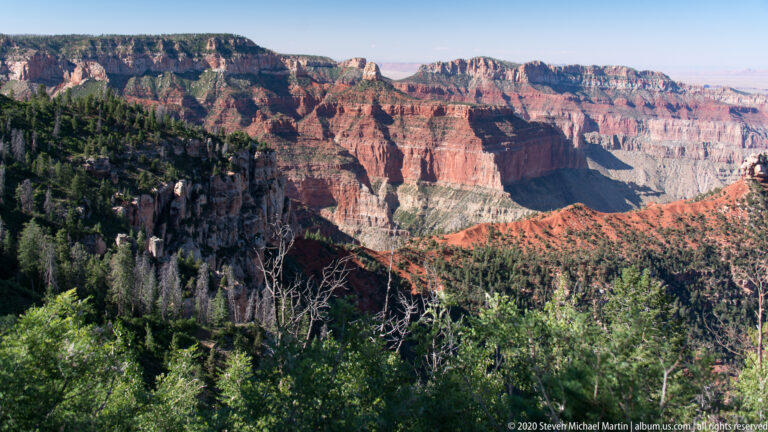 Layered red and pale walls descend from a forested rim into the shadowed canyon interior.