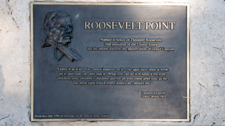 Bronze Theodore Roosevelt plaque set in pale stone, with a relief portrait, dedication, and quotation.