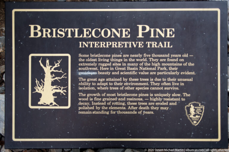 A dark rectangular trail panel with a bristlecone illustration and blocks of pale text fills the frame.